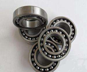 Classy 306TN/C4 Bearing